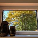 산책하우스 민박 이미지