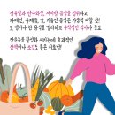 하남 소화불량, 한약 건강보험으로 5만원 이하 치료 후기 [설명한의원]