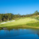 캐슬 골프 이미지