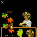 양구 나비야 네이버블로그