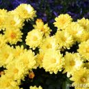 놀자놀자 이미지