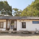 리틀포레스트 이미지