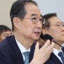 막지 이미지
