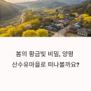 개군면사무소 | 봄꽃 흐드러진 양평 산수유마을, 주말 데이트 코스로 최고