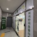 파충류샵디어렙청주 | 청주 파충류샵 디어렙에서 크레스티드게코 도마뱀 분양 후기