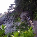 유 애 묘 이미지