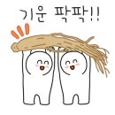 24시카센타 이미지