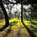 남기동길 이미지