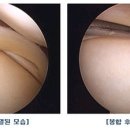 (주)웰튼