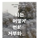 암미 | 뇌는 어떻게 변화를 거부하는가 - 슈테판 클라인