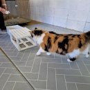 마리앤쥬 이미지