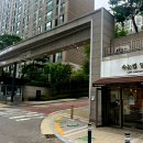 속눈썹일일구
