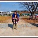 변동초등학교 이미지