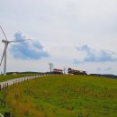 대관령마켓 이미지