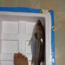 물꼬기 - 하남시 미사강변대로 64 | 물꼬기