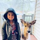 북수서로 이미지