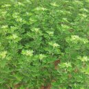 주식회사 파인엠 이미지