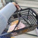 이츠펫(It's Pet) 이미지
