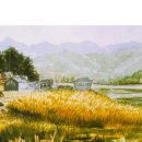 수채화 Daum카페