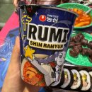 용인시 관광안내소(에버랜드) | 용인 에버랜드 야간타임 즐기기 코스 추천 관광용