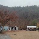 해바라기캠핑장 이미지