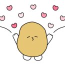 예신뷰 이미지
