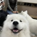 겨울이 머무는 집 이미지