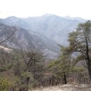 충북의알프스, 월악산(月岳山,와락산 靈峰 1,097m)산행*2,011.2.13.일* 이미지