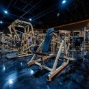 피그말리온짐 프리미엄 이미지