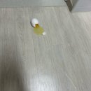 유한회사 마트왕 | 2026년 일주일 후기