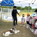 영광유치원 이미지