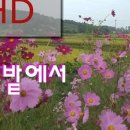 서울이수초등학교 이미지