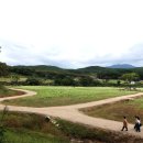 메밀꽃필무렵 이미지