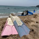 사이드킥 | 강습용 숏핀 오리발 추천 : 사이드킥 - 딸기 실착 사용 후기 사이즈