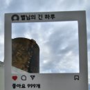 잎새토퍼 네이버블로그
