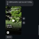 덩치큰뒷고기 | 4월 - 창밖은 연둣빛으로 들썩인다는데요