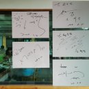 한소담