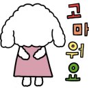 워니헤어 이미지