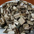 좋은나무 이미지