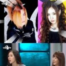 문희준헤어 이미지