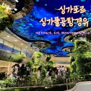 싱가폴 공항 경유 6시간 야쿤 카야토스트 부스트 스무디 해바라기정원 드림스케이프 후기