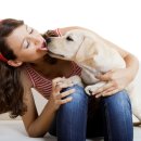 참누리동물병원 이미지