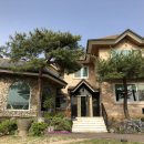 강릉애 진심 이미지