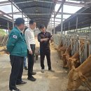 한우농장 이미지