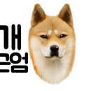 닥터호오 동물병원 이미지