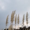 성산농장3 이미지