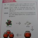 자연과 발효