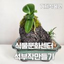 석부작 | 거제식물원 석부작만들기(거제정글돔,어린이,어른체험)