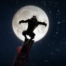 레드울프 이미지