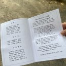 68 | 의정부 용현동 절 ‘용현사’ 부처님오신날 방문후기(공양 시간, 절편, 주차)